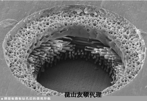 河北蔡司河北扫描电镜